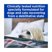 Hill's Prescription Diet Wet Dog/Cat A/D Can 156g x 12 cans (Chicken)
