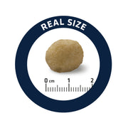 Advance Dog HYPOALLERGENIC 2.5KG