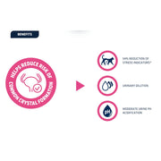 Advance Cat URINARY STRESS 1.25KG