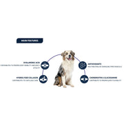 Advance Dog ARTICULAR 12KG