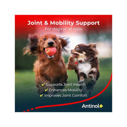 Antinol Plus 90 Softgels