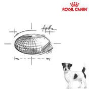 Royal Canin Dog Urinary S/O Small Dog