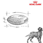 Royal Canin Dog Urinary S/O