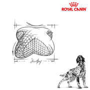 Royal Canin Dog Satiety Weight Management