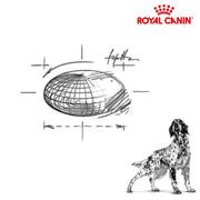 Royal Canin Dog Gastrointestinal Low Fat