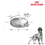 Royal Canin Dog Gastrointestinal High Fibre 2kg