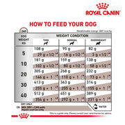 Royal Canin Dog Hepatic