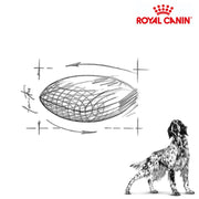 Royal Canin Dog Hepatic