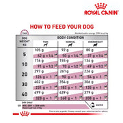 Royal Canin Dog Renal