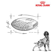 Royal Canin Dog Renal