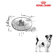 Royal Canin Dog Neutered Adult Small Dog