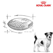 Royal Canin Dog Mature Consult Small Dog