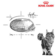 Royal Canin Cat Anallergenic 2kg