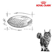 Royal Canin Cat Diabetic 1.5kg