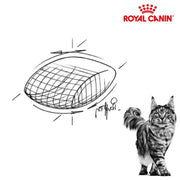 Royal Canin Cat Dental 1.5kg