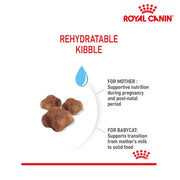 Royal Canin Cat Mother & Babycat 2kg
