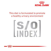 Royal Canin Cat Adult