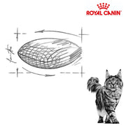 Royal Canin Cat Neutered Satiety Balance
