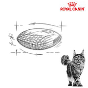 Royal Canin Cat Mature Consult 3.5kg