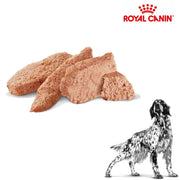 Royal Canin Wet Dog Hypoallergenic Can 400g x 12 cans