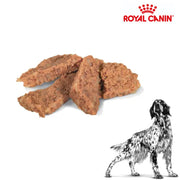 Royal Canin Wet Dog Sensitivity Control Can 410g x 12 cans