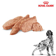 Royal Canin Wet Dog Satiety Weight Management Can 420g x 12 cans