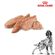 Royal Canin Wet Dog Gastrointestinal Can 400g x 12 cans