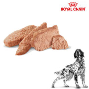 Royal Canin Wet Dog Gastrointestinal Low Fat Can 410g x 12 cans