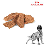 Royal Canin Wet Dog Hepatic Can 420g x 12 cans