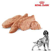 Royal Canin Wet Dog Renal Can 410g x 12 cans