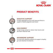 Royal Canin Pouch Cat Gastrointestinal 85g x 12 Pouch