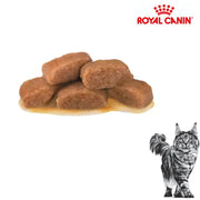 Royal Canin Pouch Cat Gastrointestinal 85g x 12 Pouch