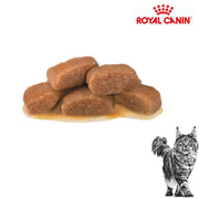 Royal Canin Pouch Cat Renal 85g x 12 Pouch