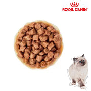 Royal Canin Pouch Cat Wet Kitten 85g x 12 Pouch