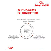 Royal Canin Cat Gastrointestinal Kitten 2kg