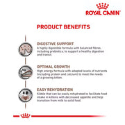 Royal Canin Cat Gastrointestinal Kitten 2kg
