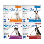 NexGard For Dogs 6 Chews (Fleas & Ticks Protection)