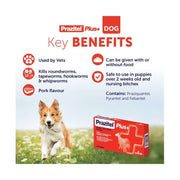 Prazitel Plus+ For Dog 104's