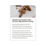 Drontal Dog Tasty Bone (17 x 6 tabs)